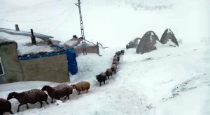 Erzurum’un Horasan ilçesinde tipi ve fırtınanın boyutu kameralara yansıdı.