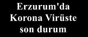 Erzurum'da Korona Virüste son durum