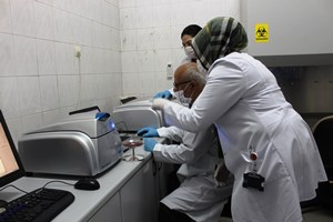 Atatürk Üniversitesinde plazma tedavisi için altyapı hazır