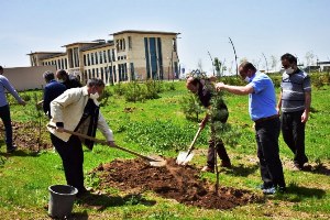 ETÜ’de yeni fidanlar can buldu