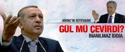 Arınç'ı istifadan Gül mü çevirdi?