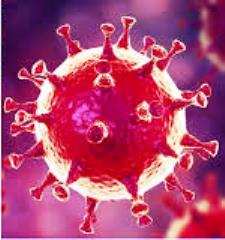 Koronavirüs ile mücadelede İSDEM dönemi