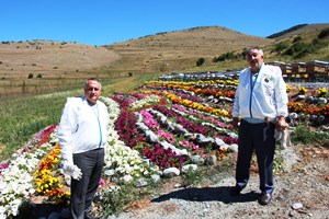 Bal ormanında hasat dönemi