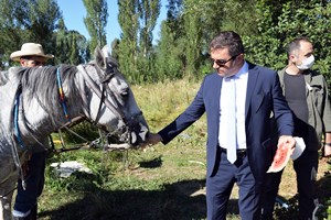 Vali Memiş sera ziyaretinde at besleyip biçerdöverle hasat yaptı