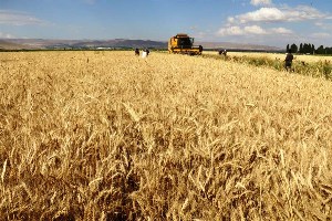 Tarım’da Erzurum farkı