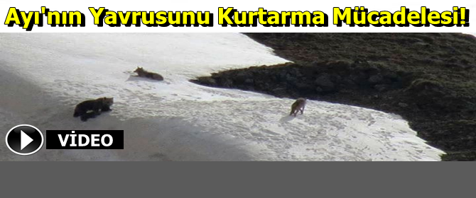 Bu Görüntüler Erzurum'dan...