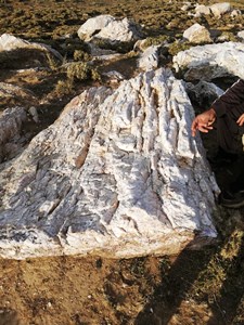 Erzurum'da ikinci Altın rezervi bulundu