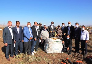 Vali Memiş, Pasinler’e soğutma deposu sözü verdi