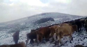 Doğu’da yüksek kesimlerde kar yağışı etkili oldu