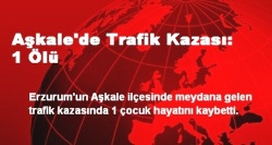 Aşkale'de Trafik Kazası: 1 Ölü