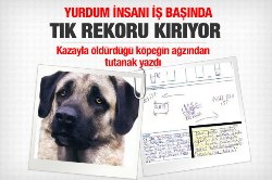 Öldürdüğü köpeğin ağzından tutanak!