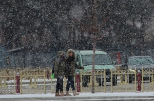 Erzurum'da kar yağışı etkili oldu