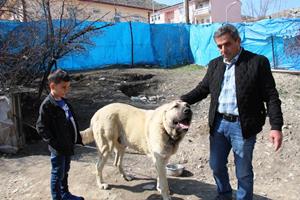 Köpek dile geldi; “Benim adım Ejder”