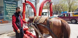 Erzurum’da dörtnala koşan at, trafiği birbirine kattı