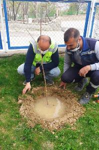 Bahçe bizden bakması sizden