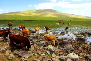 Erzurum'da kuraklık hat safhada, göller bir bir kuruyor