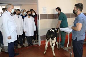 Atatürk Üniversitesi, modern hayvan sağlığı hizmetleriyle dikkat çekiyor