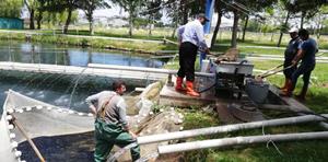 Denizi olmayan Erzurum’dan balık üretimi