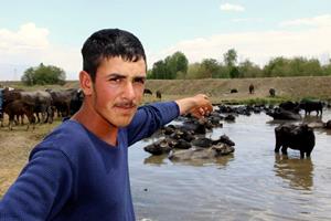 Erzurum’da mandaların keyifli göl banyosu