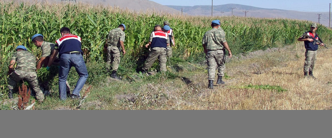 Erzurum'da Jandarma'dan Hint Keneviri Operasyonu