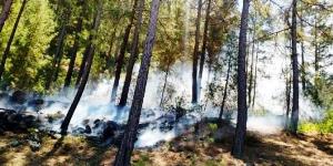 Erzurum’da piknik alanlarında ateş, mangal, semaver yakılması ve ormanlık alanlara girilmesi yasaklandı