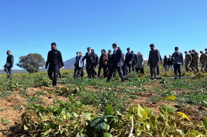 İspir Hanımeli Kadın Kooperatifi 100 dönüm araziye ektikleri fasulye hasadını protokol ile yaptılar