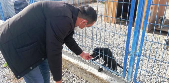 Hayvan Bakımevi ve Rehabilitasyon Merkezi sokak hayvanlarına ev sahipliği yapıyor