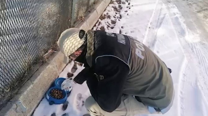 Polis ekipleri yaban hayvanlarını unutmadı