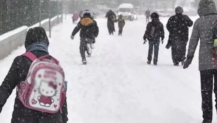 Erzurum'da 3 ilçede eğitime kar engeli