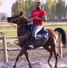 Önal, Cirit il temsilciliğine getirildi