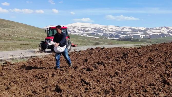 Bahar geldi tohum toprak ile buluştu