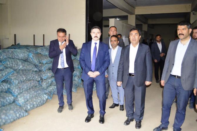 Pasinler’de 75 ton patates tohumu dağıtıldı