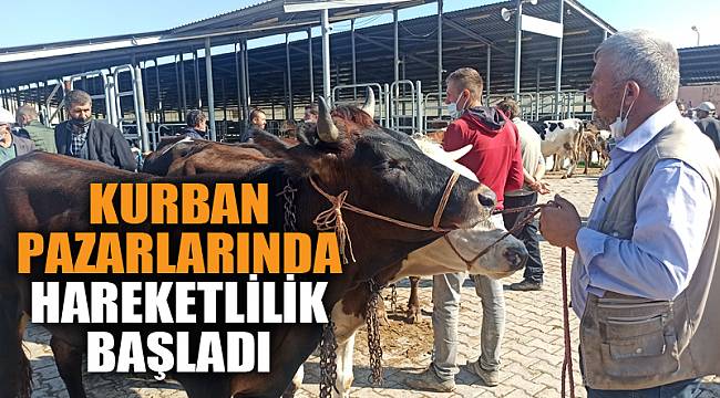 Hayvan Pazarlarında Kurban Hareketliliği Başladı