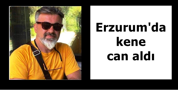 Erzurum'da kene can aldı