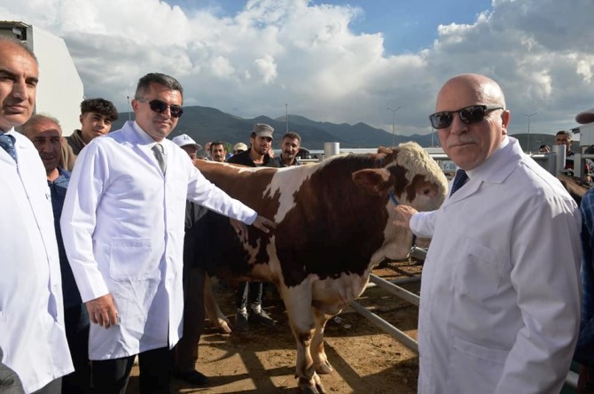 Vali Memiş ve Başkan Sekmen "Avrupa'nın en büyük canlı hayvan pazarında" incelemelerde bulundu