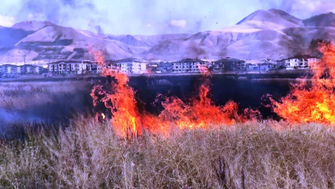 Çocukların oyunu buğday tarlasını yaktı, 20 dönüm küle döndü