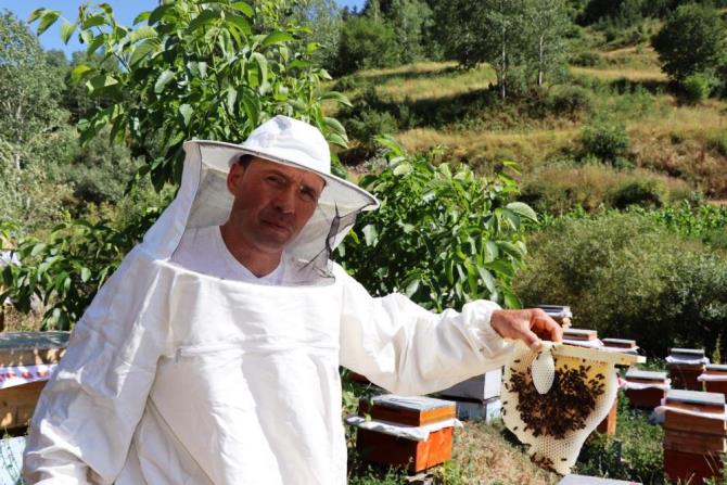 Şeker hastaları için bal üretiyor