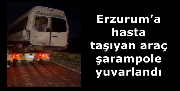 Erzurum’a hasta taşıyan araç şarampole yuvarlandı