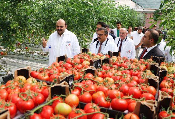 Tarım Kredi kurmayları termal seralara hayran kaldı