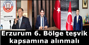 ESAB Başkanı Fırat, Ticaret Odası Başkanı Oral ve 1. OSB Başkanı Urkuç, Erzurum'un 6. Bölge teşvik kapsamına alınmasını istediler