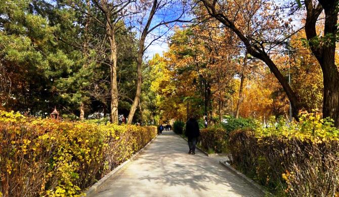 Erzurum’da sonbahar manzarası büyülüyor