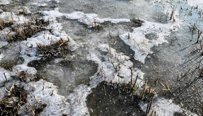 Hava sıcaklığının eksi 5’e düştüğü Erzurum buz tuttu