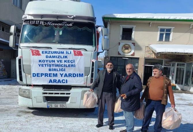 Damızlık koyun yetiştiricileri birliğinden deprem bölgesine yardım