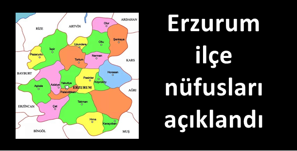 Erzurum ilçe nüfusları açıklandı