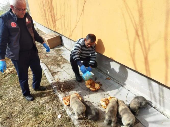 Şenkaya’da kamu görevlilerinden örnek davranış