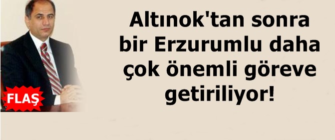 Efkan Ala Bakan Sebahattin Öztürk Müsteşar Oluyor