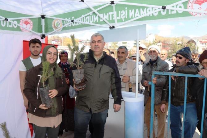 Orman haftası dolayısıyla ücretsiz fidan dağıtımı yapıldı