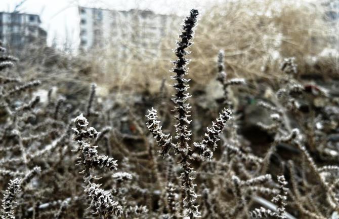 Meteorolojiden zirai don uyarısı