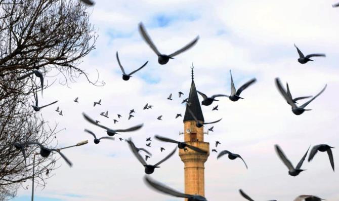 Erzurum’da bin 601 cami bulunuyor