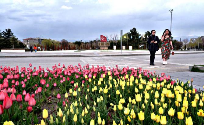 Şimdi Erzurum’da lale zamanı